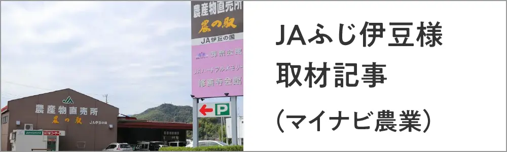 JAふじ伊豆様取材記事（マイナビ農業）